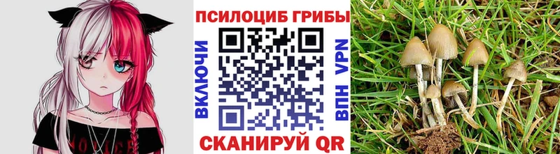 Псилоцибиновые грибы MAGIC MUSHROOMS Сухиничи
