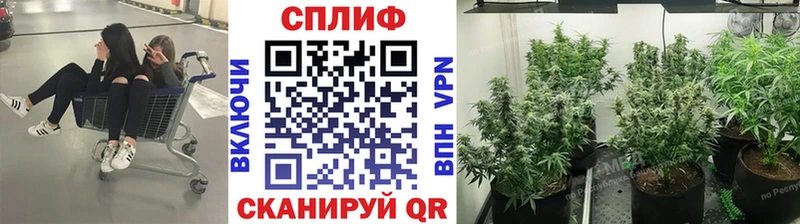 хочу   Сухиничи  Канабис White Widow 